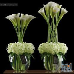 3D model CALLA LILLY 4 (2012, 2015, obj)