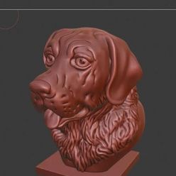 3D model Labrador bust – 3D Print