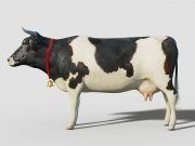 3D model Cow HQ