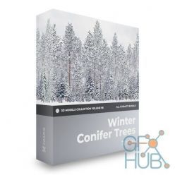 3D model CGAxis – Winter Conifer Trees 3D Models Collection – Volume 98