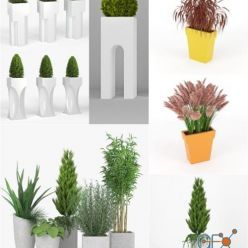 3D model CGTrader – Plants Set 3D-Models Collection Pt. 3