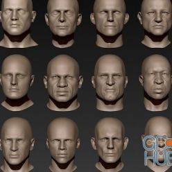 3D model Cubebrush – 12 Male Heads