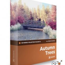 3D model CGAxis – Autumn Trees 3D Models Collection – Volume 115