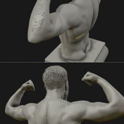 3D model Conor McGregor – 3D Print