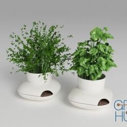 3D model Herbs pot sagaform