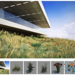 3D model Evermotion – Archmodels vol. 124 (FULL) – Grass and Small Plants