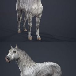 3D model Andalusian horse PBR