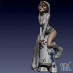 3D model Archivo Digital Stl Leia Sexy– 3D Print