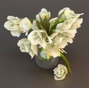 3D model White tulips in vase