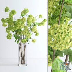 3D model Viburnum branches (max 2011, fbx)