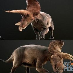 3D model Triceratops PBR