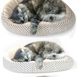 3D model Sleeping cat
