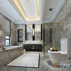 3D model Modern bathroom interior 067