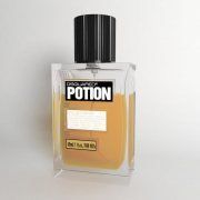 3D model Men's perfume Potion by DSQUARED2