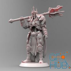 3D model Leoric Figure -Diablo – 3D Print