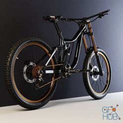 3D model MTB DH Mounain Bike