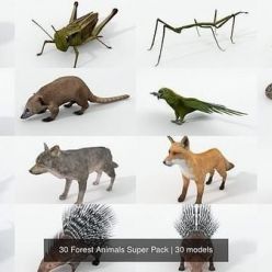 3D model CGTrader – 30 Forest Animals Super Pack 3D Model Collection