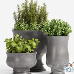 3D model PLANT - 45