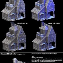 3D model Healers House – 3D Print