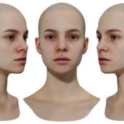 3D model 3D Scan Store – Female 3D model / Retopologised Head Scan 014