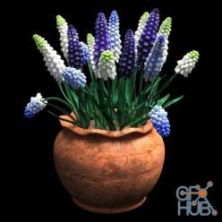 3D model Bouquet with muscari