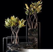 3D model Modern flowerpots with crotonas