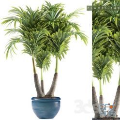 3D model PLANTS 148 (max 2012, 2015, fbx)