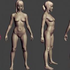 3D model Gumroad – Slim female body basemesh