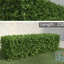 3D model Hedge lenght 250 cm