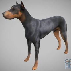 3D model Low-Poly Dog with rig