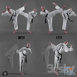 3D model Form of taekwondo
