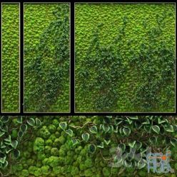 3D model Phyto-wall from several panels
