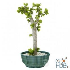 3D model Table plant