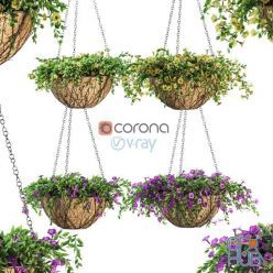 3D model 4 flower sets of Petunia in pots on a chain