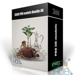 3D model 3DDD/3DSky PRO models – Bundle 40