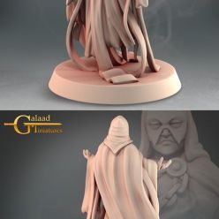 3D model Into The Woods – Necromancer – 3D Print