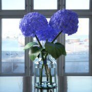 3D model Blue hydrangeas in a glass vase