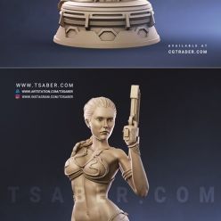 3D model Princess Leia Bust – 3D Print