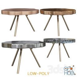 3D model Trio Petrified Coffee Table (low poly)