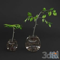 3D model Small plant in glass vase