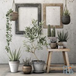 3D model Plants GH