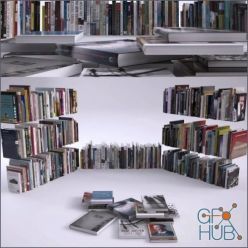 3D model Sets with books