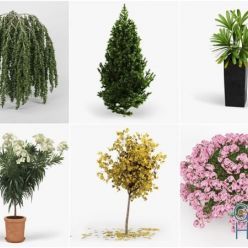 3D model CGTrader – Plants Set 3D-Models Collection