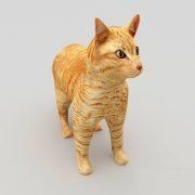 3D model Red cat