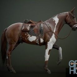 3D model Ready Horse V2 (max, fbx, obj)