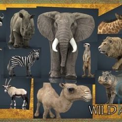 3D model Cubebrush – WILD AFRICA PACK