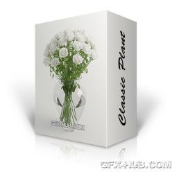 3D model Classic Plant 3D-Models Bundle