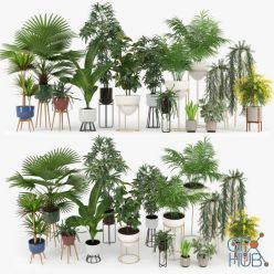 3D model Cgtrader Plants Set