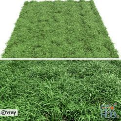 3D model Green Lawn
