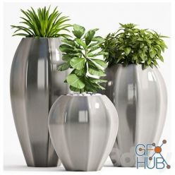 3D model PLANT SET 70